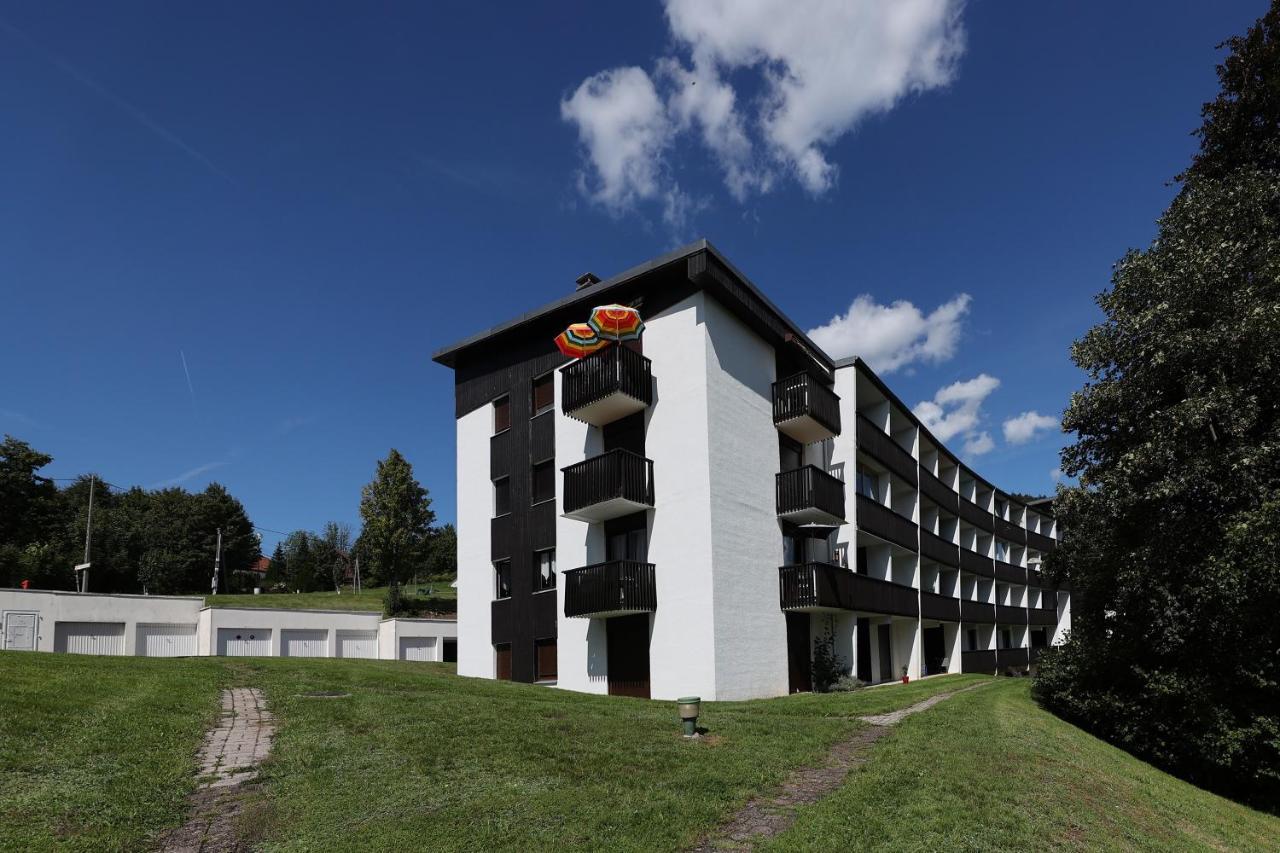 Les Xettes - Appartement Vue Montagne Gérardmer Kültér fotó